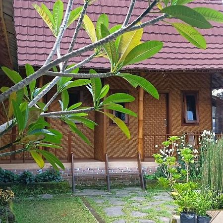 Mysha Guest House-Lombok Тетебату Екстер'єр фото