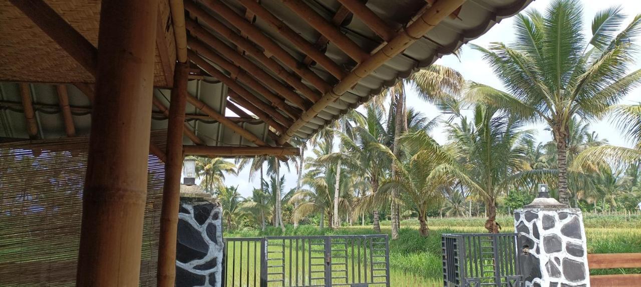 Mysha Guest House-Lombok Тетебату Екстер'єр фото
