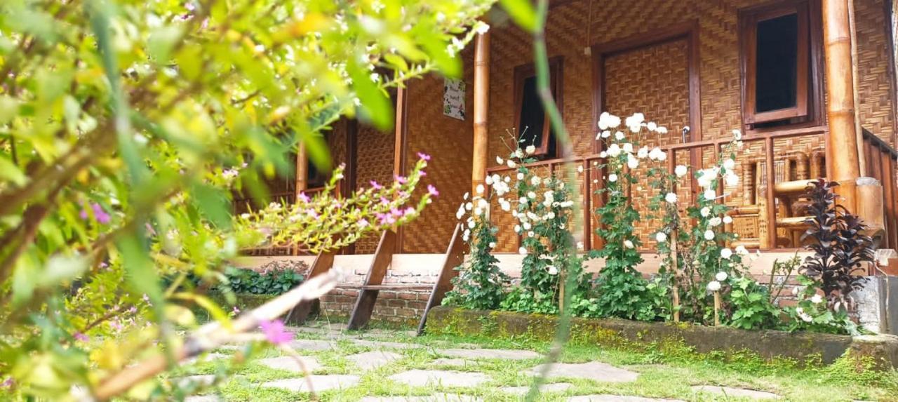 Mysha Guest House-Lombok Тетебату Екстер'єр фото