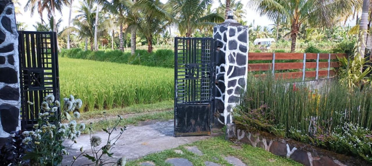 Mysha Guest House-Lombok Тетебату Екстер'єр фото