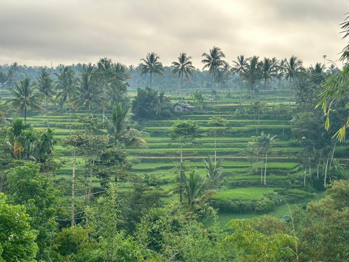Mysha Guest House-Lombok Тетебату Екстер'єр фото
