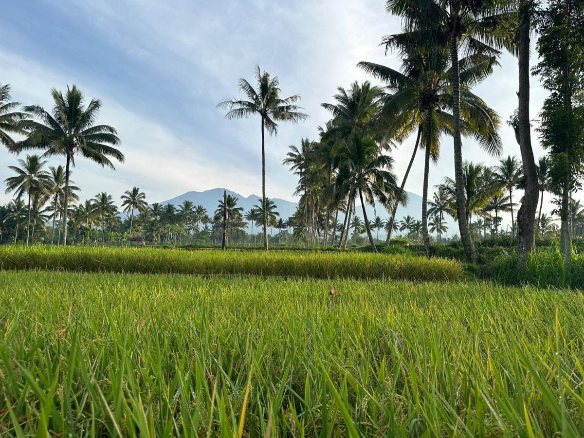 Mysha Guest House-Lombok Тетебату Екстер'єр фото