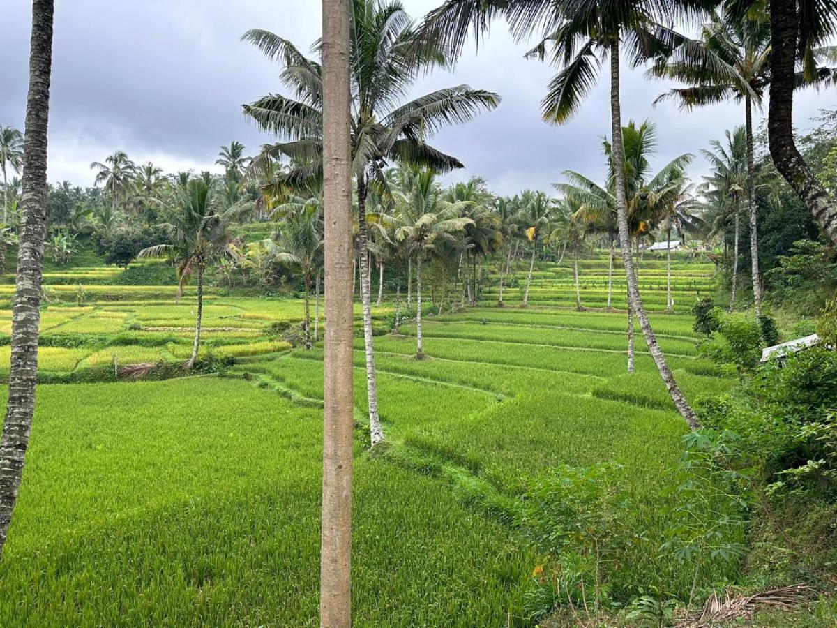 Mysha Guest House-Lombok Тетебату Екстер'єр фото
